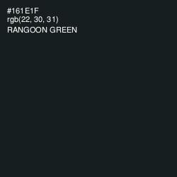 #161E1F - Rangoon Green Color Image